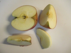 りんごは8等分して、皮をむく。