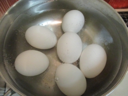 ゆで時間8分でゆで卵を作る。